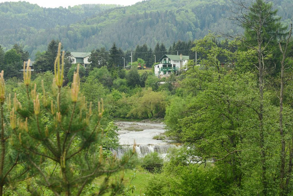 Vila Horia Bradet Săcele Buitenkant foto