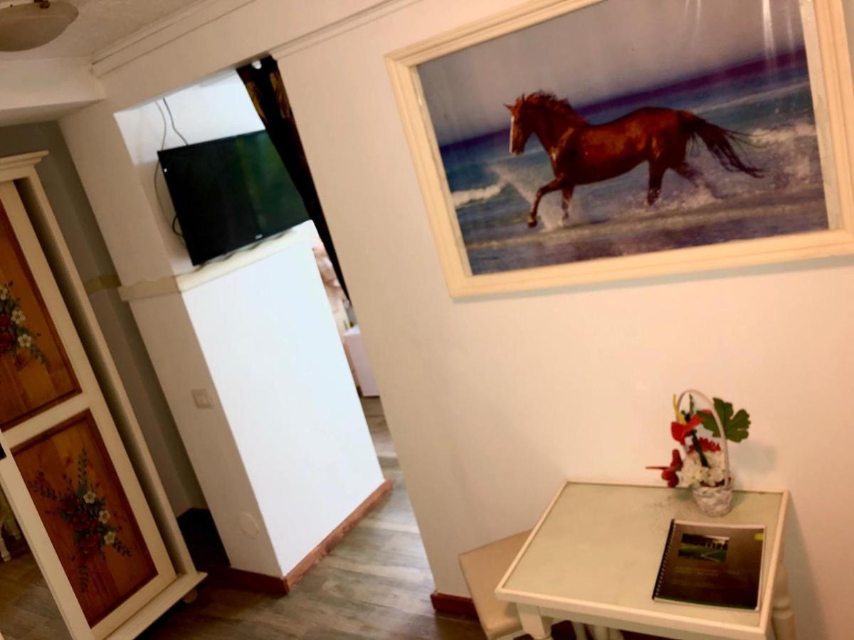 Vila Horia Bradet Săcele Buitenkant foto